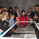 113_1126_JPG-1320707579