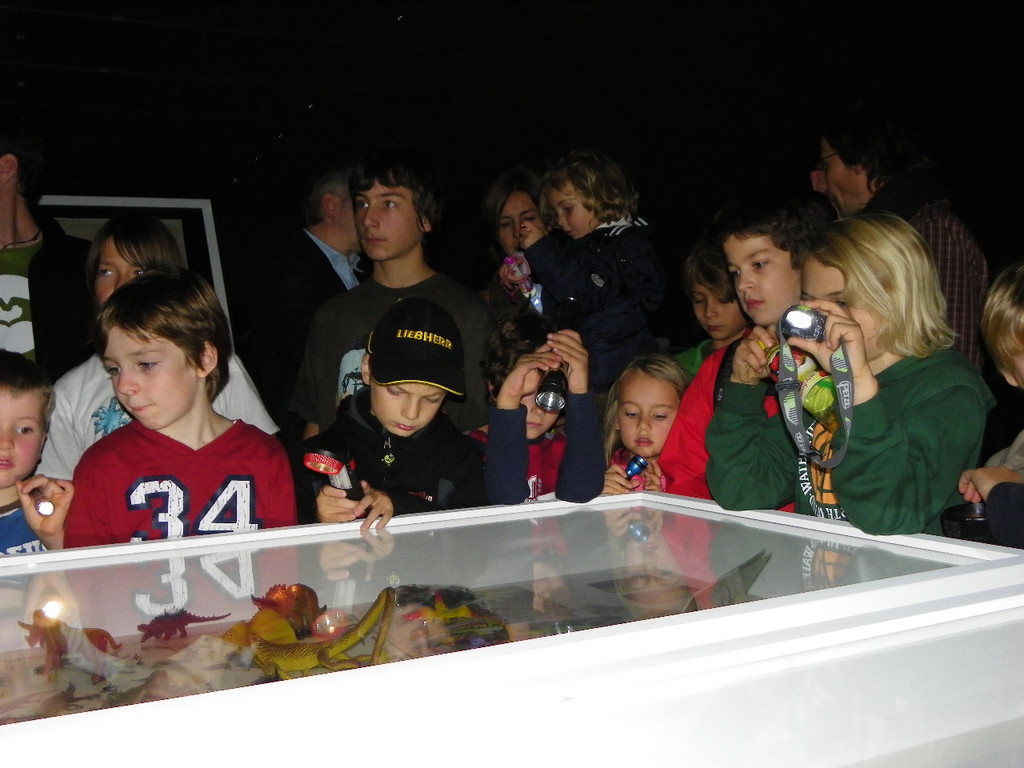 113_1121_JPG-1320707552