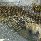 112_9943-2_JPG-1320708095