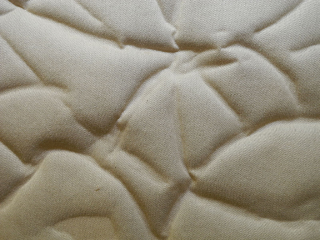 DSCN7115_JPG-1320731082