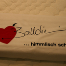 BK_161209 Balldini in Bregenz _8_.jpg
