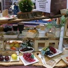 normal_071111gastromessebraktivnews_0078.jpg