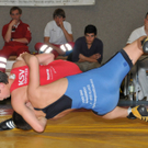 DSC_9244-web.jpg