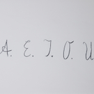 80804241.JPG