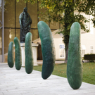 04_Wurm_Gurken_Foto_Wolfgang_Lienbacher.jpg