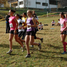 DSC_0460.JPG