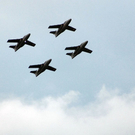 DSC_0786.jpg