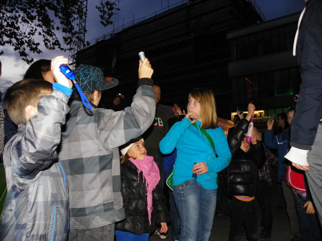 113_1113_JPG-1320799782