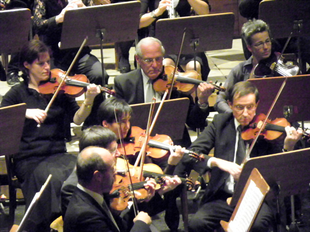 113_1219_JPG-1320800562