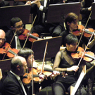 113_1240_JPG-1320800631