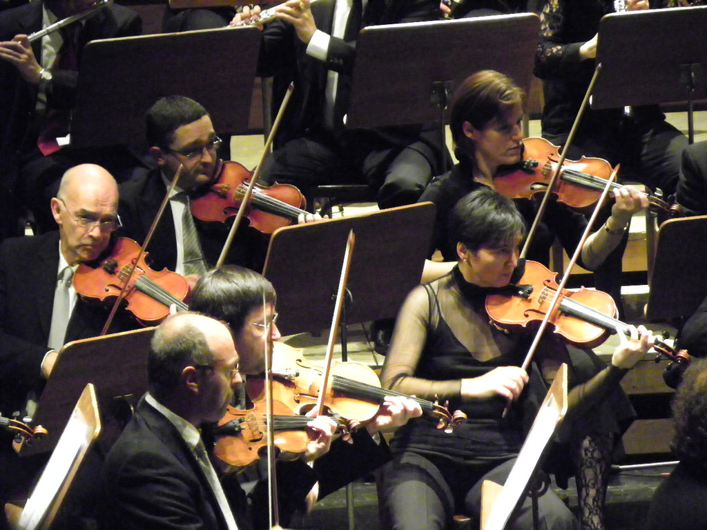 113_1240_JPG-1320800631