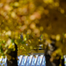 ABD0035-20111103.jpg