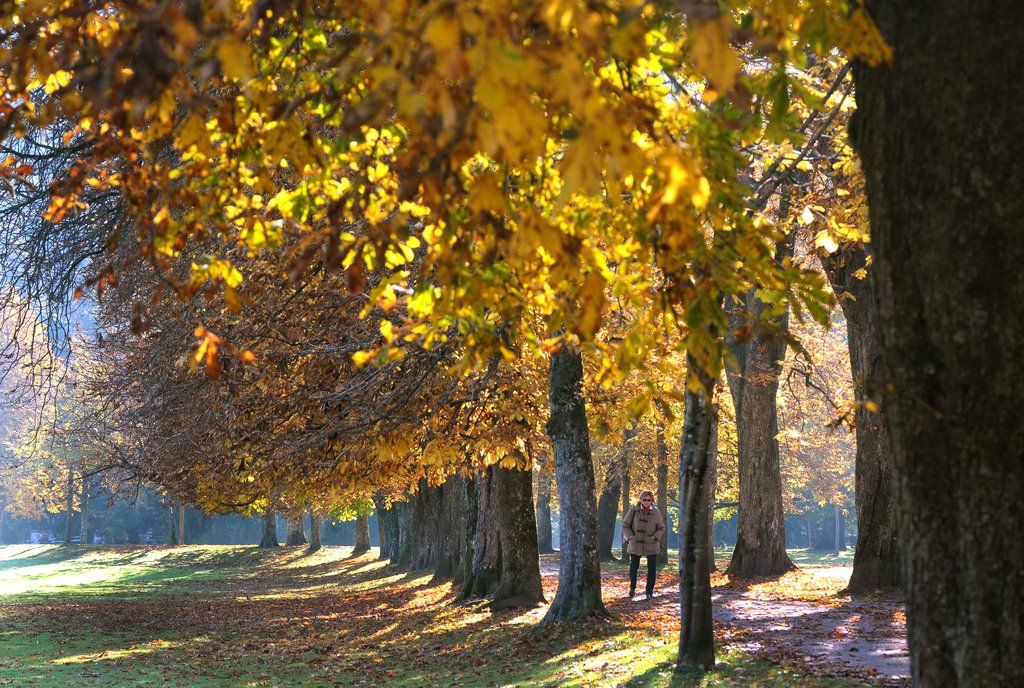 ABD0034-20111103.jpg