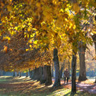 ABD0034-20111103.jpg