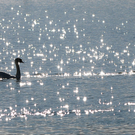 ABD0039-20111101.jpg