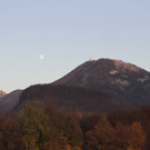 normal_08112011herbstsbgffaktivnews_3.jpg