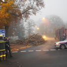 09112011vumitholztransporterspaktivnews_005.JPG
