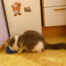 DSCN0240.jpg