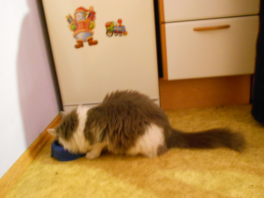 DSCN0240.jpg