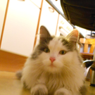 DSCN0241.jpg