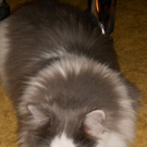 DSCN0244.jpg