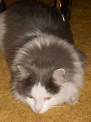 DSCN0244.jpg