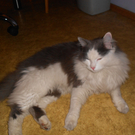 DSCN0247.jpg