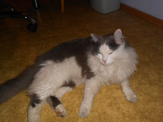 DSCN0247.jpg