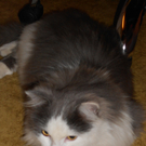 DSCN0246.jpg