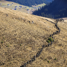 Gebirgsu__bung Damu__ls24.jpg