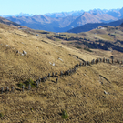 Gebirgsu__bung Damu__ls22.jpg