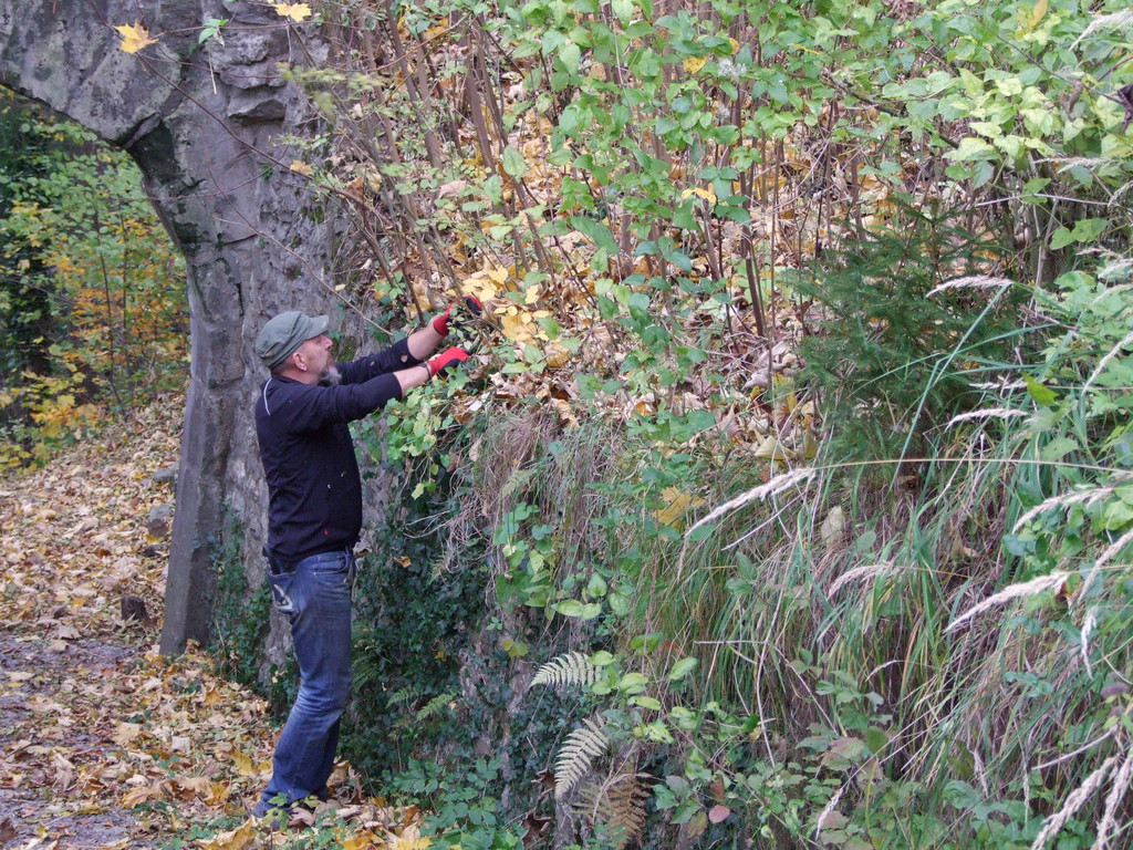 DSCF5197_JPG-1320909659