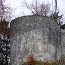 DSCF5199_JPG-1320909678