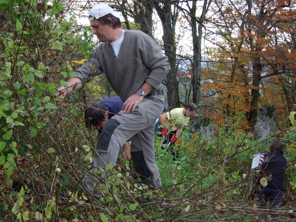 DSCF5206_JPG-1320909717