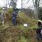 DSCF5210_JPG-1320909737