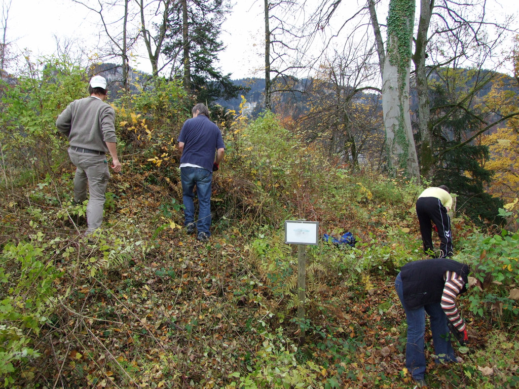 DSCF5210_JPG-1320909737