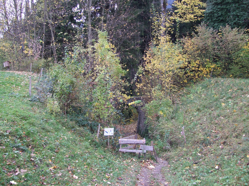 Haupttor_Vorher_JPG-1320909777