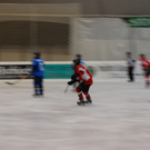 DSC_0023.JPG