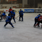 DSC_0029.JPG