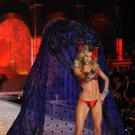 DAB1472-20111110.jpg