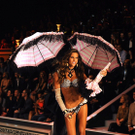 IBD0209-20111110.jpg