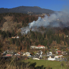 Waldbrand in Schruns