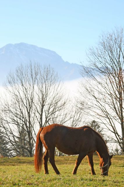 normal_10112011oberdernebelgrenzewm2aktivnews_11.JPG