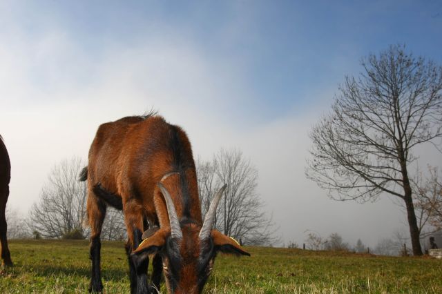 normal_10112011oberdernebelgrenzewm2aktivnews_20.JPG