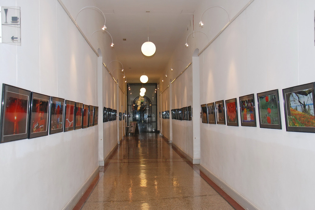 DSC_4063_jpg-1320937374