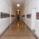 DSC_4079_jpg-1320937548