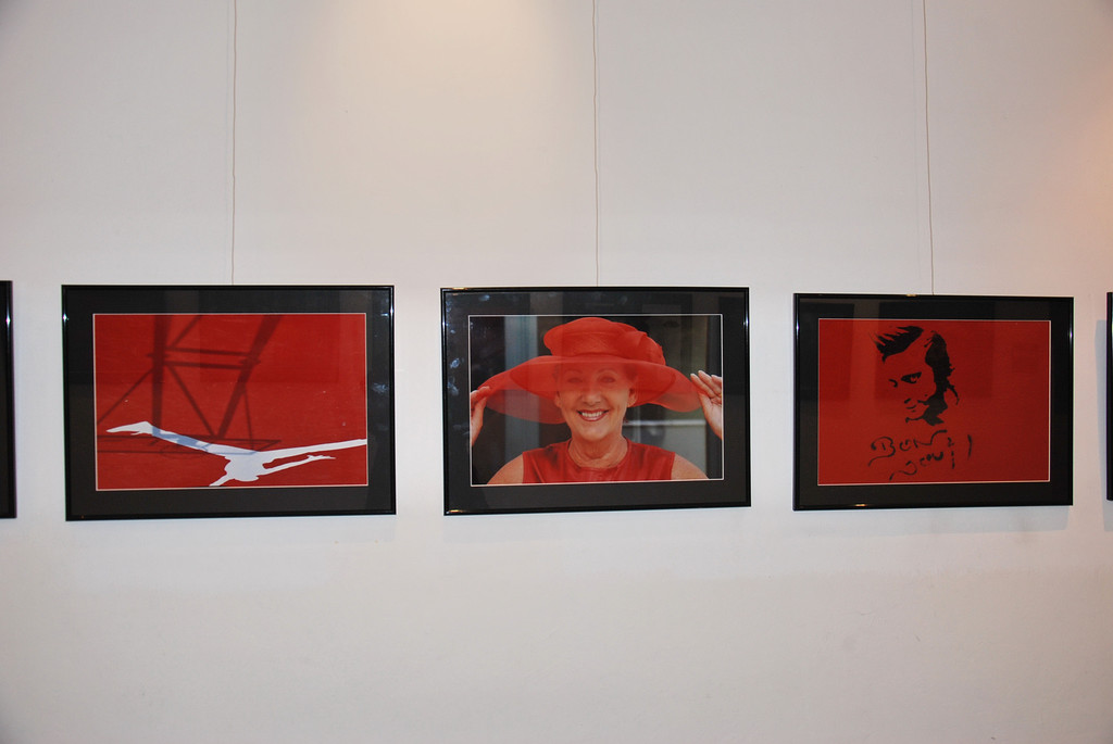 DSC_4066_jpg-1320937426