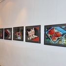 DSC_4072_jpg-1320937515