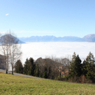 Bilder: Fraxern - über dem Nebel