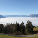 IMG_8536.jpg